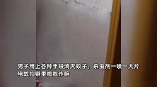 密集恐惧症慎入！男子住处蚊子泛滥成灾，用上各种终极武器消灭