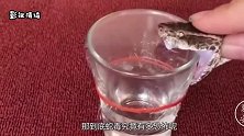 男子做实验将蛇毒注入血液中，接下来发生的一幕，让人直冒冷汗！