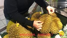 今天才知道，买榴莲，手上1个小动作，一年节省几千元，转告家人