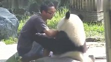 大熊猫：劳资是国宝靠着你坐，你还敢推我？