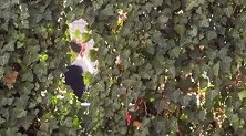 这是什么视角...德国队主帅克洛普今日现身拜仁训练基地