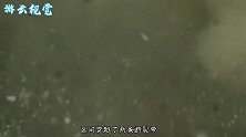 海里面也能施工？中国基建太牛了，让国外的人们羡慕