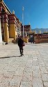 不慌不忙，做一个温柔的女流氓