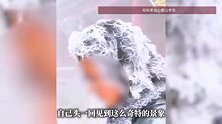 泰山“雾凇上头”？小伙爬泰山，头发结雾凇成“冰皇冠”