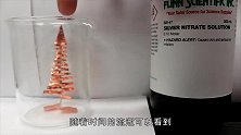 把铜放进烧杯里，加入这种液体后反应剧烈，谁看都说成品太美