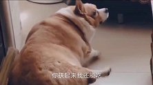 最新型停车场，每停一辆车都要吊死一辆法拉利啊！