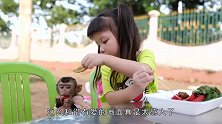 猴子太馋了！菠萝蜜还没切开就急着咬上去，网友：不怕咯牙吗