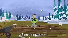 动物兄弟：克里斯放好种子，刚一转身捧土，种子就被吃光啦