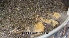 福建闽南“黑色果冻”，大叔用15一斤的草干熬制，10斤草熬出260斤