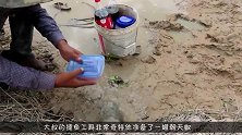 大叔用朝天椒曼妥思捕鱼，倒入洞穴中，鱼辣的全跳了出来！
