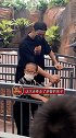 陈伟霆在被恐龙吓到，和店员讲价后，这位“勇敢的陈先生”又把游客的孩子牵走了。