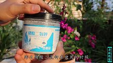 养花促花“神器”磷酸二氢钾，使用时有窍门，方法错了浪费钱