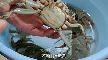 蒸螃蟹有诀窍，别只放姜片了，教你一招，蟹肉蟹黄更营养无腥味
