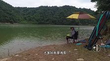 谁说钓鲢鳙一点要钓浮？钓沉底一样上鲢鳙，野生鲤鱼力气更是霸道