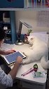 猫：天天就知道玩，都几点了，还不写作业！
