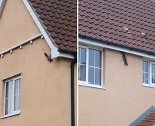 英国：一只松鼠似“蜘蛛侠” 沿着房屋外墙随意攀爬