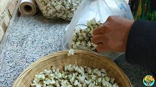 吃了20年洋槐花，终于知道3种保存方法，放一年都清香不坏