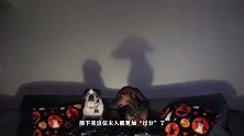 狗狗正在看鬼片时，主人却突然伸出一双手，接下来忍住别笑！