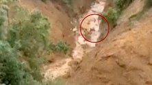 哥伦比亚：男子被泥石流冲下悬崖 救援队尖叫：他还活着！
