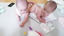 给双胞胎宝宝买了新玩具，结果宝宝们看着玩具二脸懵逼，萌翻了！