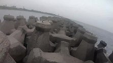 海钓，活鱼放流，上来的可都是大物
