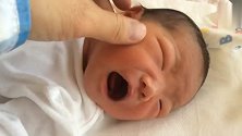 出生不久的小宝宝，爸爸一摸他的脸蛋，他就停止哭泣！好神奇！