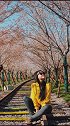 樱花季来了，樱花怎么拍