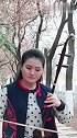 传统乐器二胡演奏经典《万里长城永不倒》，美女二胡拉的好极了