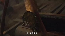 《龙岭迷窟》冷知识小科普，啥是旱魃、蝙蝠粪便真的可以治病吗