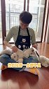 袁隆平爷爷都养猫了，你还不赶紧养一只？真的，哪哪都好～ 布偶猫 小奶猫 袁隆平养猫了