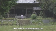 淡雅女神周迅综艺拍出电影感，细心陪伴老人尽显温柔气质