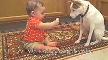 9个月大的宝宝拿糕点逗狗狗，正得意时，没想到反被狗狗戏弄了！