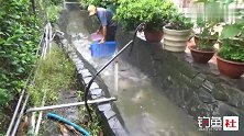 排水沟里面有很多大鱼，但是大叔只抓小鱼，不抓大鱼！为什么呢？