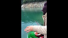 萌狮大赏 湖边垂钓，秘制饵料就是有效果，一下来两条！