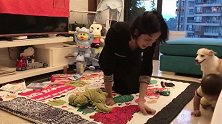 小宝宝学走路，走到一半还抬腿逗狗狗，这孩子太调皮了！