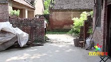 短剧：伙伴们用玉米棒芯搭房子，儿时游戏的必备项目哦！真怀念