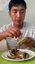手撕酱母蟹来一只，有想吃的吗