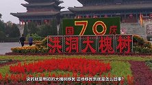 2020.6 大槐树移民
