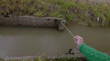 拿着超细的小钓竿，在小水沟里钓小鲫鱼