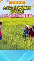 大妈们油菜地里唱歌拍照，主人劝阻无效，只能无奈叉腰看着。请尊重他人劳动成果！   社会百态
