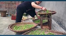 超小厨农忙一星期瘦五斤，中午做顿肉煸四季豆，儿子连吃三碗饭