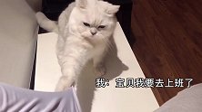 你退半步的动作认真的吗