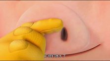 猪猪侠：小偷近在眼前，猪猪侠逞英雄，却关键时刻无法变身了