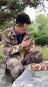 提倡爱护动物，与人和谐相处！只要人类善待它们，它们知道感恩！ 猕猴