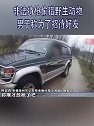 安徽滁州：非法持枪偷猎野生动物 男子称为了招待好友