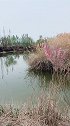 人活到问心无愧就行，别人的看法不能让你吃饱穿暖，