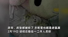 大学生返校发现宿舍变鼠窝！床垫被咬衣柜全是老鼠屎，学校回应