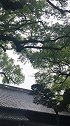普陀山普济禅寺
