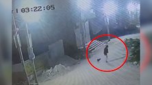 印度一户居民家中被盗 2个月大狗崽竟跑出门外追赶窃贼