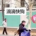 见过滴滴打车，这滴滴快狗还是第一次见啊